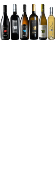 I vini rossi di Fattoria di Monticello uniti insieme: una selezione speciale da apprezzare con i migliori piatti di carne rossa, cacciagione e formaggi stagionati.
*PORTA A CASA L'UMBRIA*
Dal 1&deg; al 30 aprile, scegli ed acquista liberamente tra tutte le etichette dei nostri vini e&nbsp;ricevi in omaggio:&nbsp;
- 1 bottiglia di&nbsp;Ripalbella Trebbiano Umbria IGT 2023&nbsp;con un ordine minimo di vino di&nbsp;&euro; 99,00&nbsp;(spese di spedizione escluse)
- 2 bottiglie di&nbsp;Ripalbella&nbsp;Trebbiano Umbria IGT 2023&nbsp;con un ordine minimo di vino di&nbsp;&nbsp;&euro; 149,00&nbsp;(spese di spedizione escluse)
Spese di spedizione gratuite sopra i &euro; 60,00.
&nbsp;